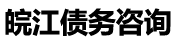 皖江债务公司